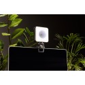 Lampa LED Newell RGB-W Rangha Nano Sunset - oświetlenie salonu tatuażu