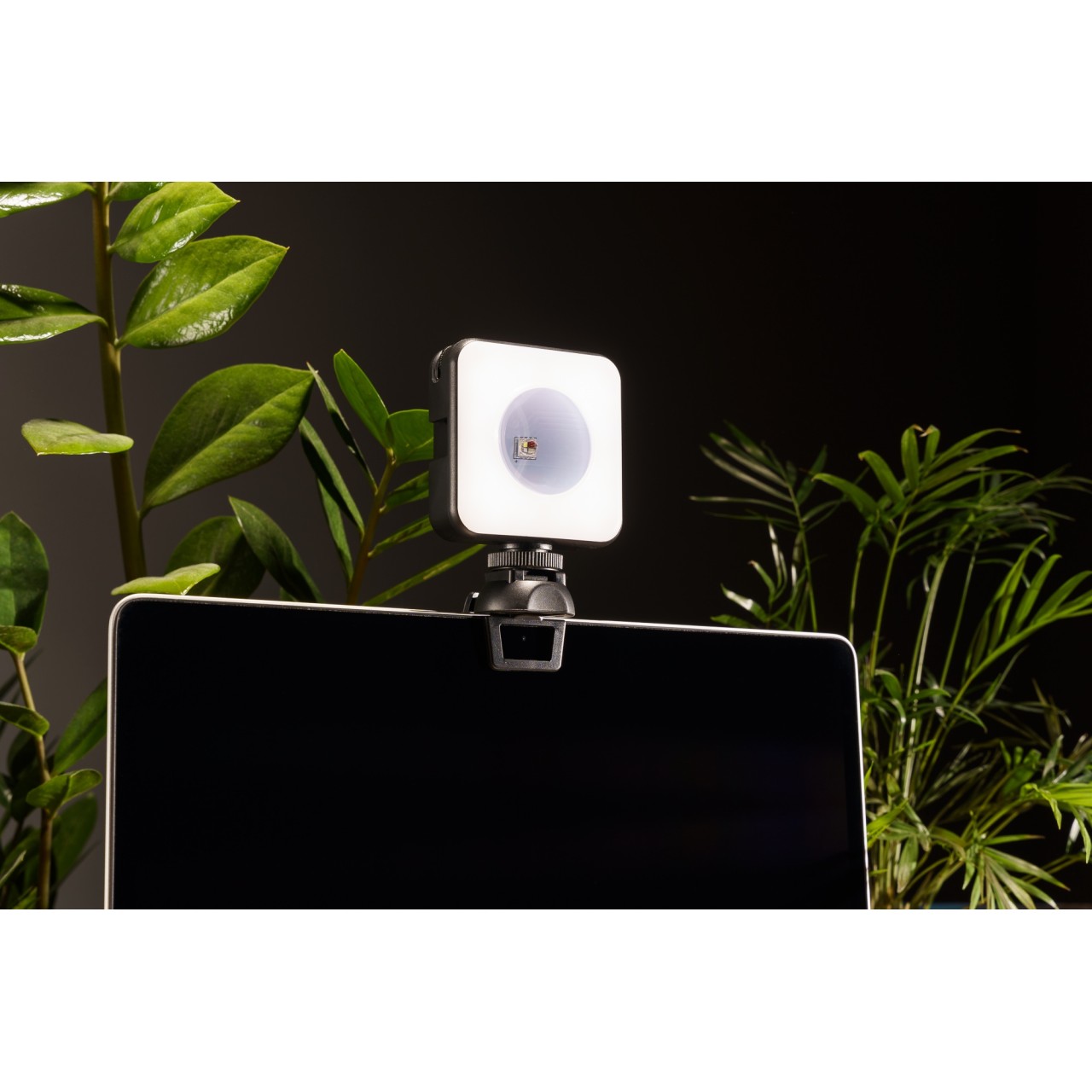 Lampa LED Newell RGB-W Rangha Nano Sunset - oświetlenie salonu tatuażu