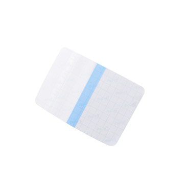 Folia ochronna OTZI by Easytattoo [Arkusze]